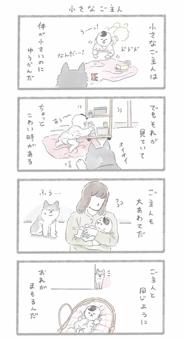 赤ちゃんとハスキーさん
#こんにちはいぬです 