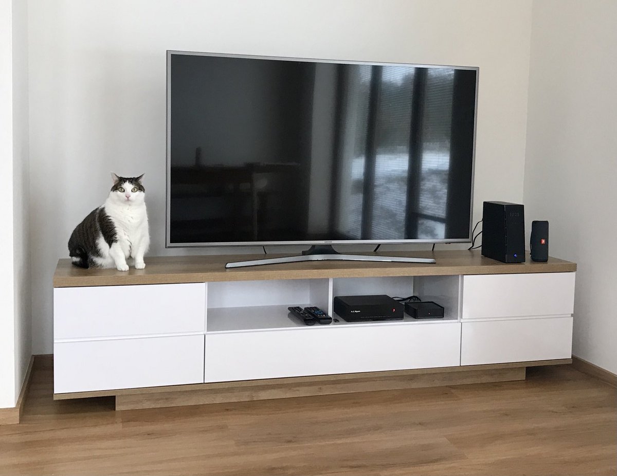 What’s on the TV? Me!! ⁦<a href="/FartyCheddarCat/">Cheddar</a>⁩