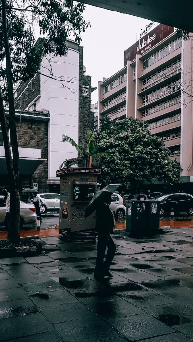 mitchaesthete's tweet photo. GM 🌧️
It's lovely to see the number of dubs in the space rn. wishing all of that and more to everyone else. 🚀 https://t.co/OVUYbzyUEZ