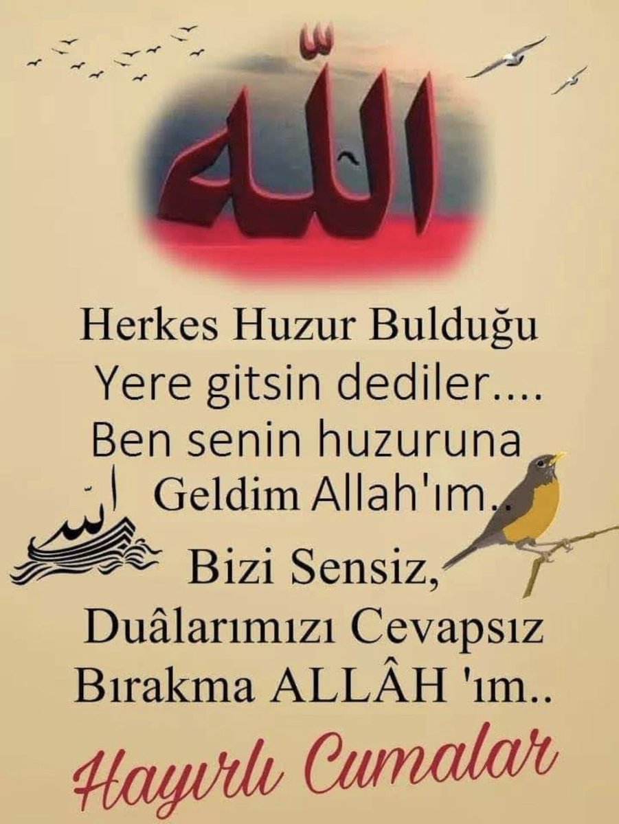 mehmetasit (@furkan_ali_63) on Twitter photo 