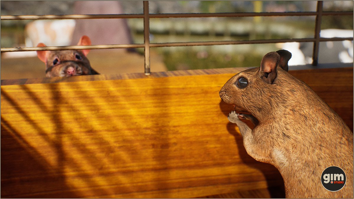 GiManimations's tweet photo. #degu #rat #animalia #gameart #UnrealEngine #unity3d https://t.co/ioFFh8ztRi