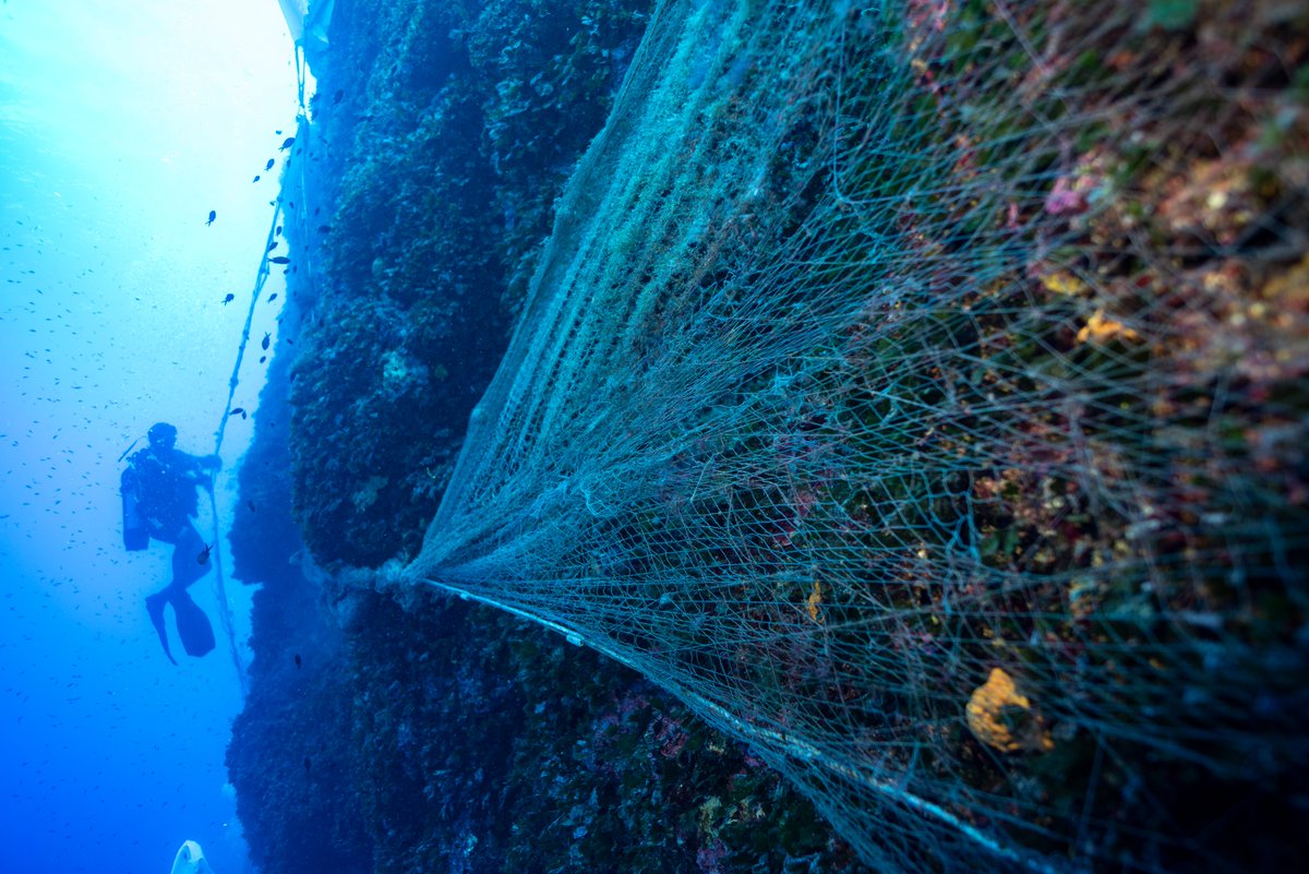Photo: ©FAO/Kurt Arrigo