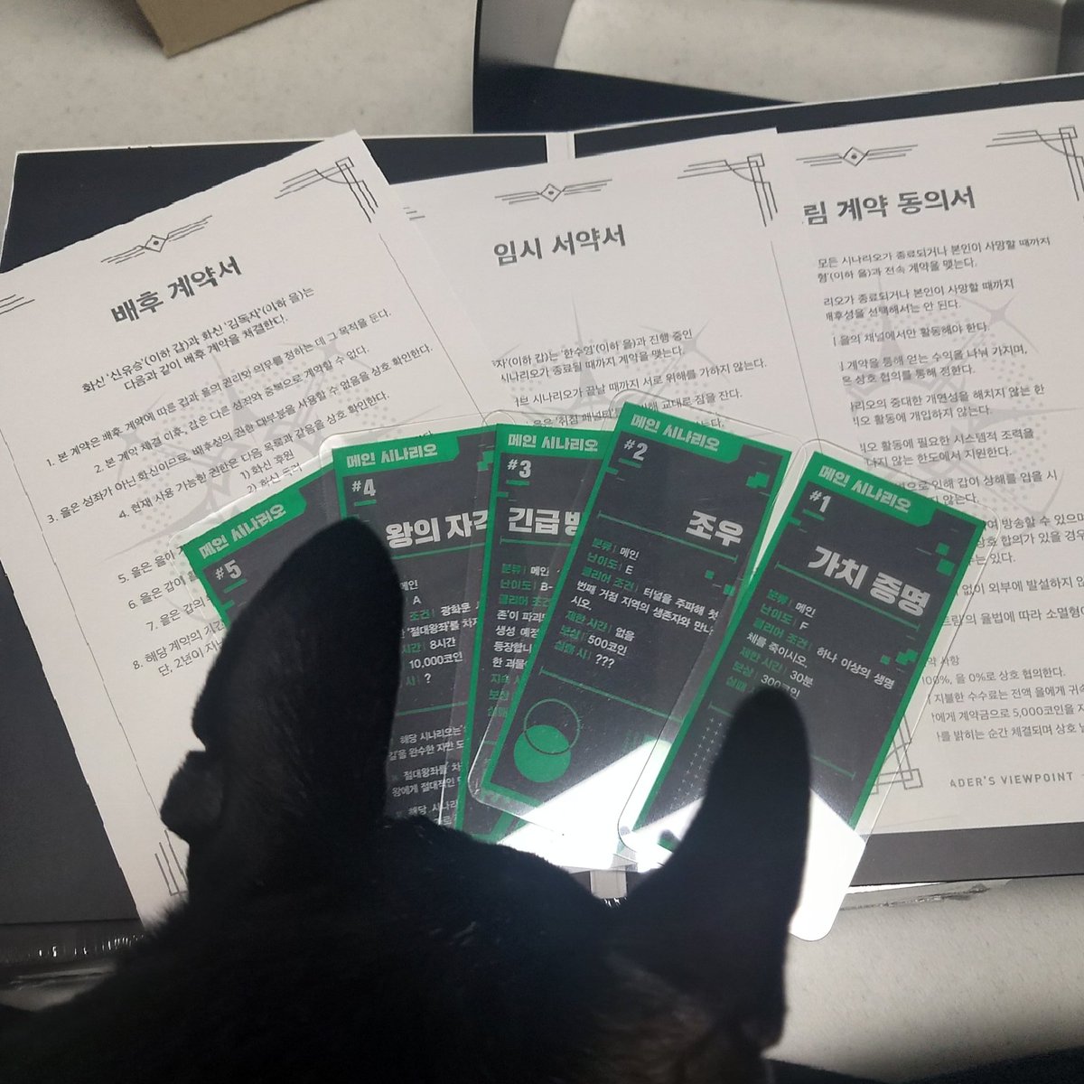 RG_52__'s tweet photo. 최고,,,, https://t.co/Gd1z0FanYs