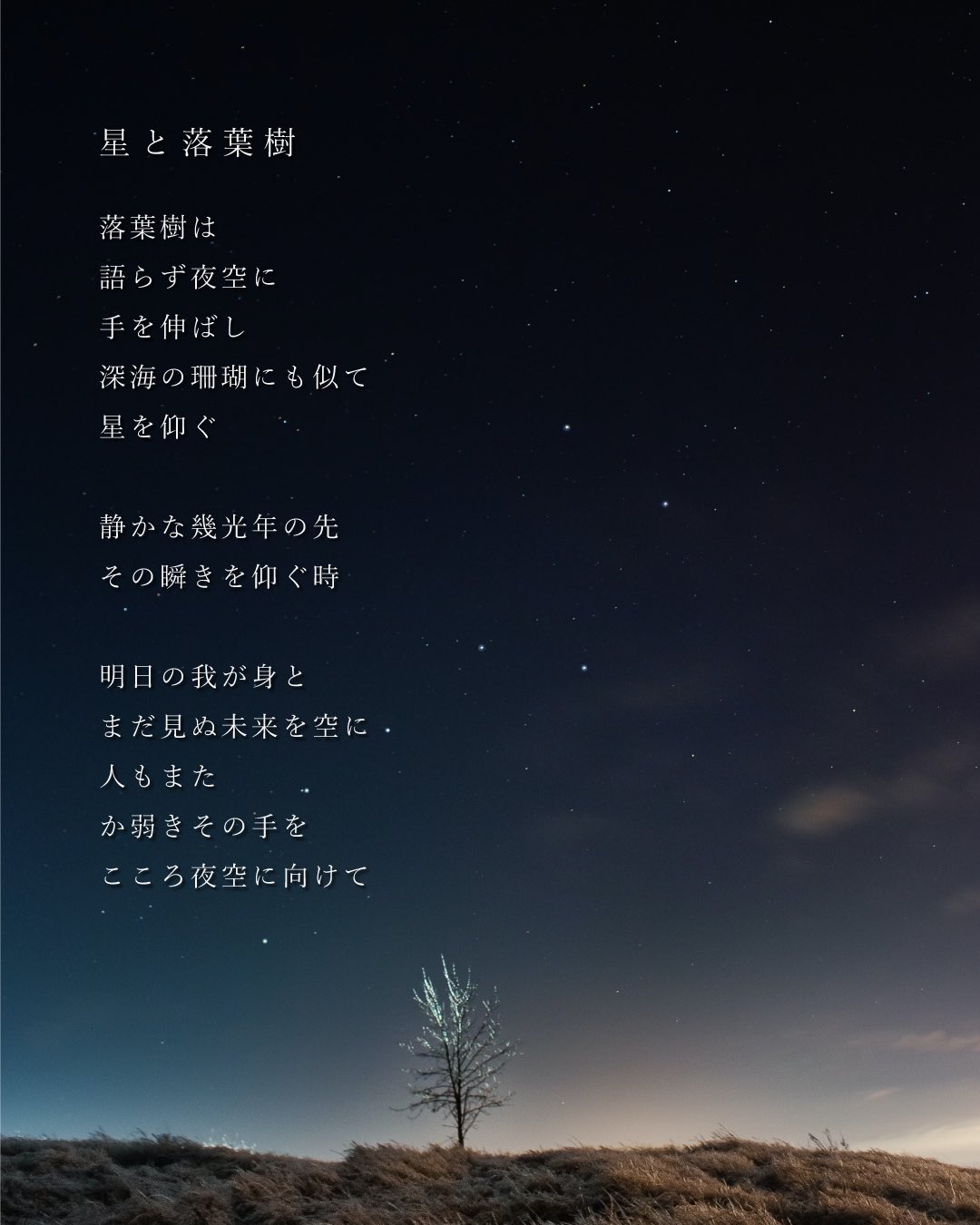 Anji 詩と言葉 Anjihirata Twitter