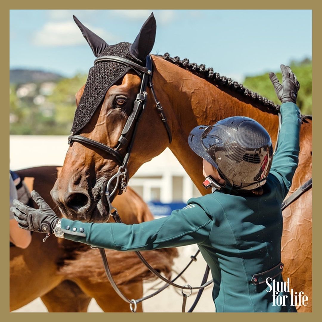 Journée internationale des câlins 💗🌸

Réchauffons les coeurs avec ces moments de joie et de partage. Merci à eux de rendre la vie plus belle ! 💫

📸 @sportfot.photovideo / @ctanierephotographie / FEI
#HugDay