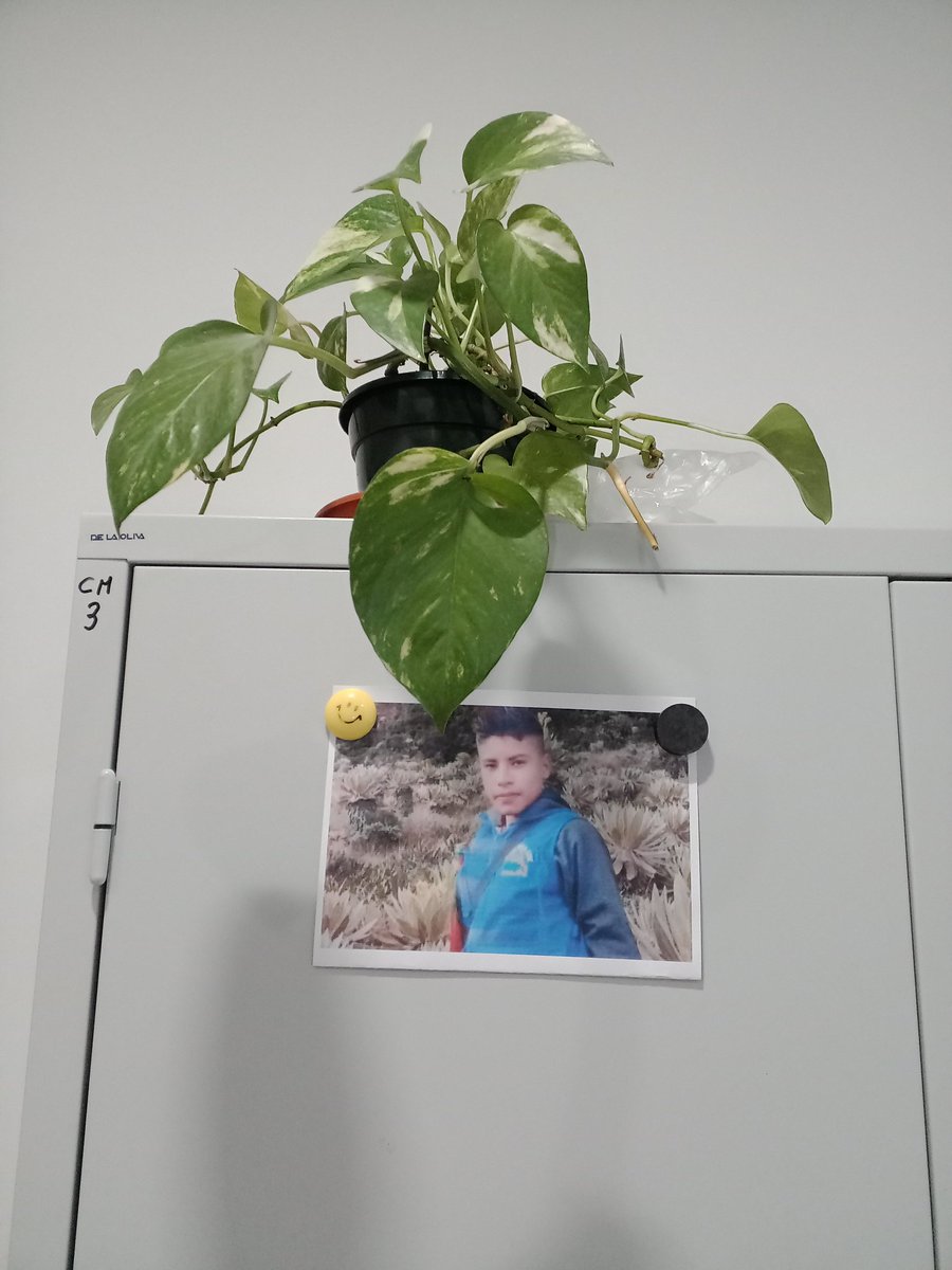 PescaWWF's tweet photo. Mi esposa médico d los niños+frágiles del país:
"Tocó la puerta y entró.Clavó la mirada en la foto y me preguntó olvidando a qué había venido
-qué guapo. Es tu hijo?
-Es Breiner David Cucuñame, el niño ecologista del valle del Cauca,
-muy guapo!se ve que le gusta la naturaleza"😭 https://t.co/Zx2M8HqIB6
