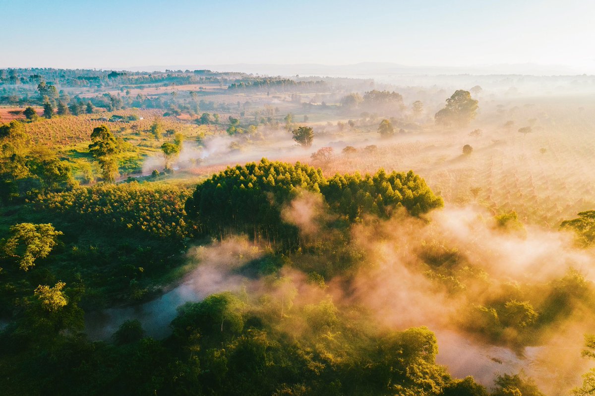 When the light and morning conditions are just right. 

Shot in📍Moiben, Rift Valley, Kenya