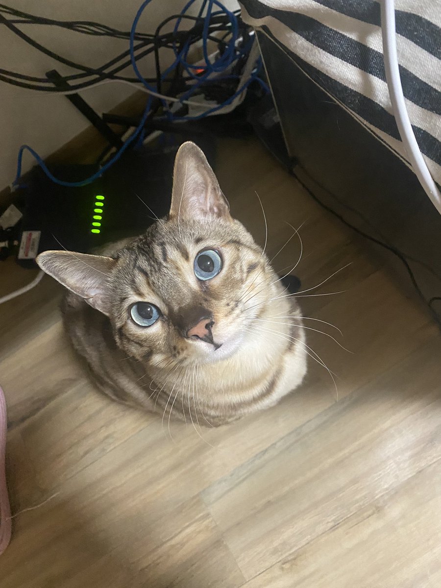 자꾸 쳐다봐서 뭘 못하겠자나