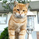 Photo by emrah (@emrah)