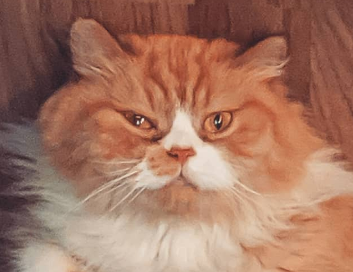 Ferocious in his Heart