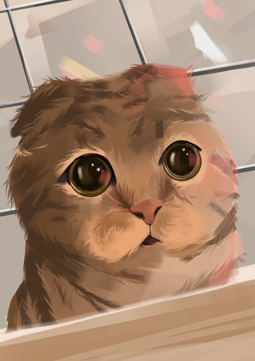artchivanture's tweet image. Had a little cat study 🐱🐈