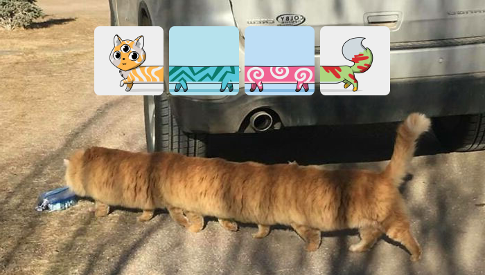 Example of a Catipede in real life 🐱
#catipede #multinft #nft #nftart #nftcollector #opensea #cat