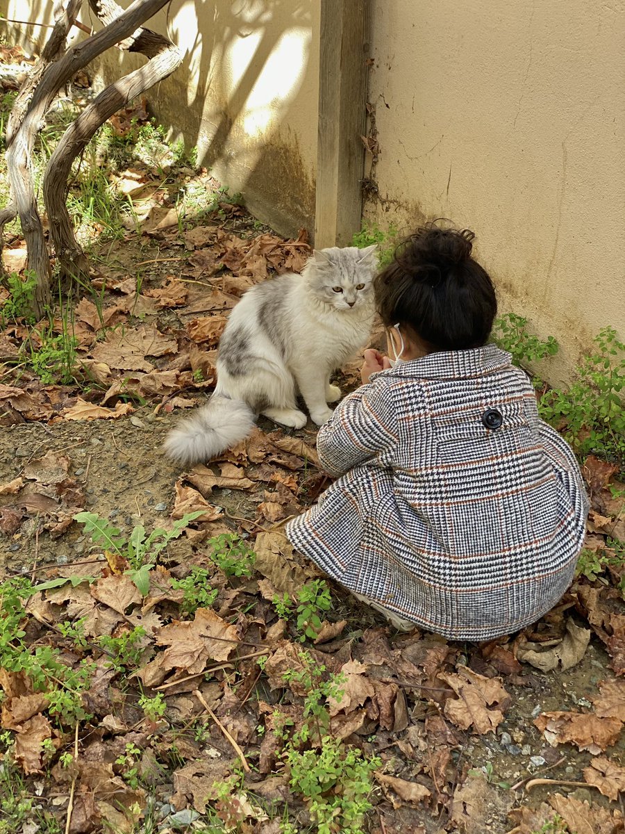 lu0ix's tweet photo. قاعده تقنعه يصير صديقها 🐈 https://t.co/F9hwe8HQdk