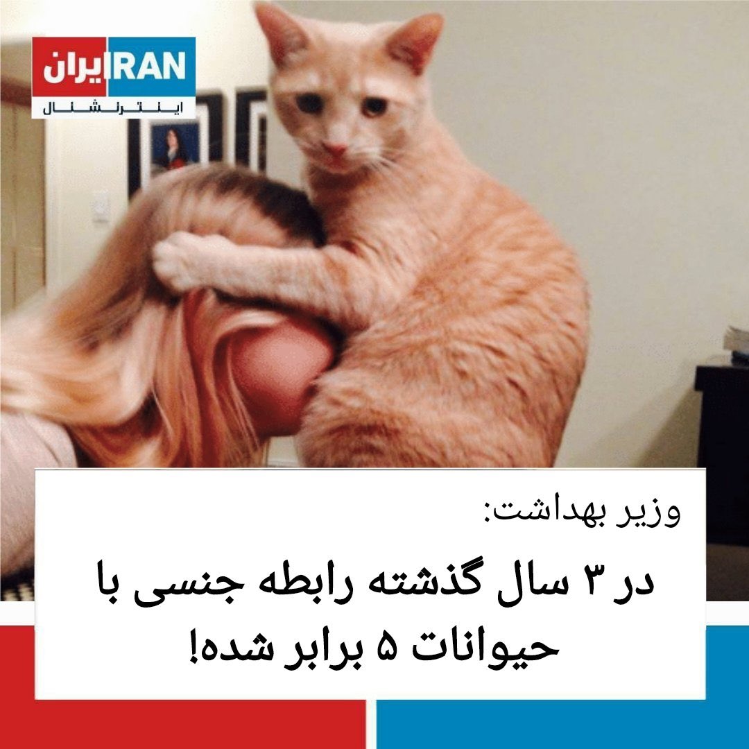 ☠️حاج عباس توییتر☠️ on X: پشمام ۵ برابر خیلیهههه😐الان کصخلا میان میگن عشق  عشقه حالا چه به انسان چه به حیوان ): t.coe1nbdA1CXa  X