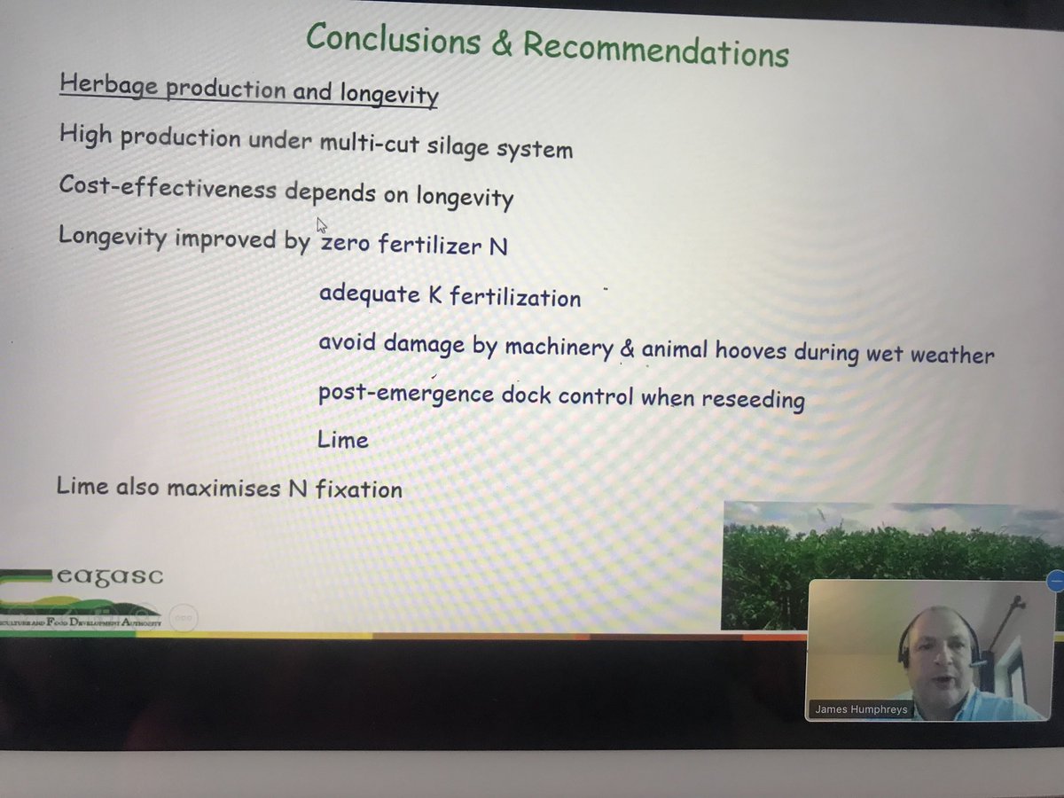 Brilliant factual and practical advice on Red Clover from James Humpherys from solohead this am on ⁦<a href="/TeagascEnviron/">Teagasc Environment</a>⁩ ⁦<a href="/teagasc/">Teagasc</a>⁩