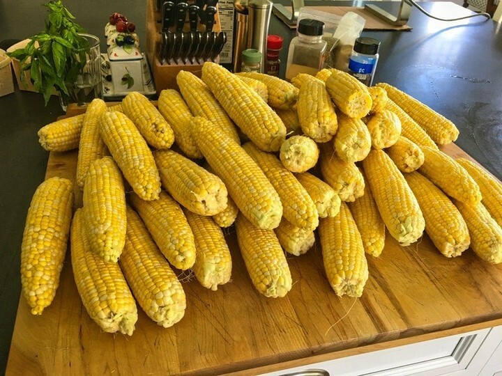 This is what 55 ears of shucked corn looks like. I figure it would take up a lot more space, that but wasn't the case.
.
.
.
.
.
#foodbiker #foodart #foodporn #foodspo #chefsofinstagram #cheflife #chef #foodie #foodtrend #foodspotting #foodblogger #recip… instagr.am/p/CY_OwzAl0FR/