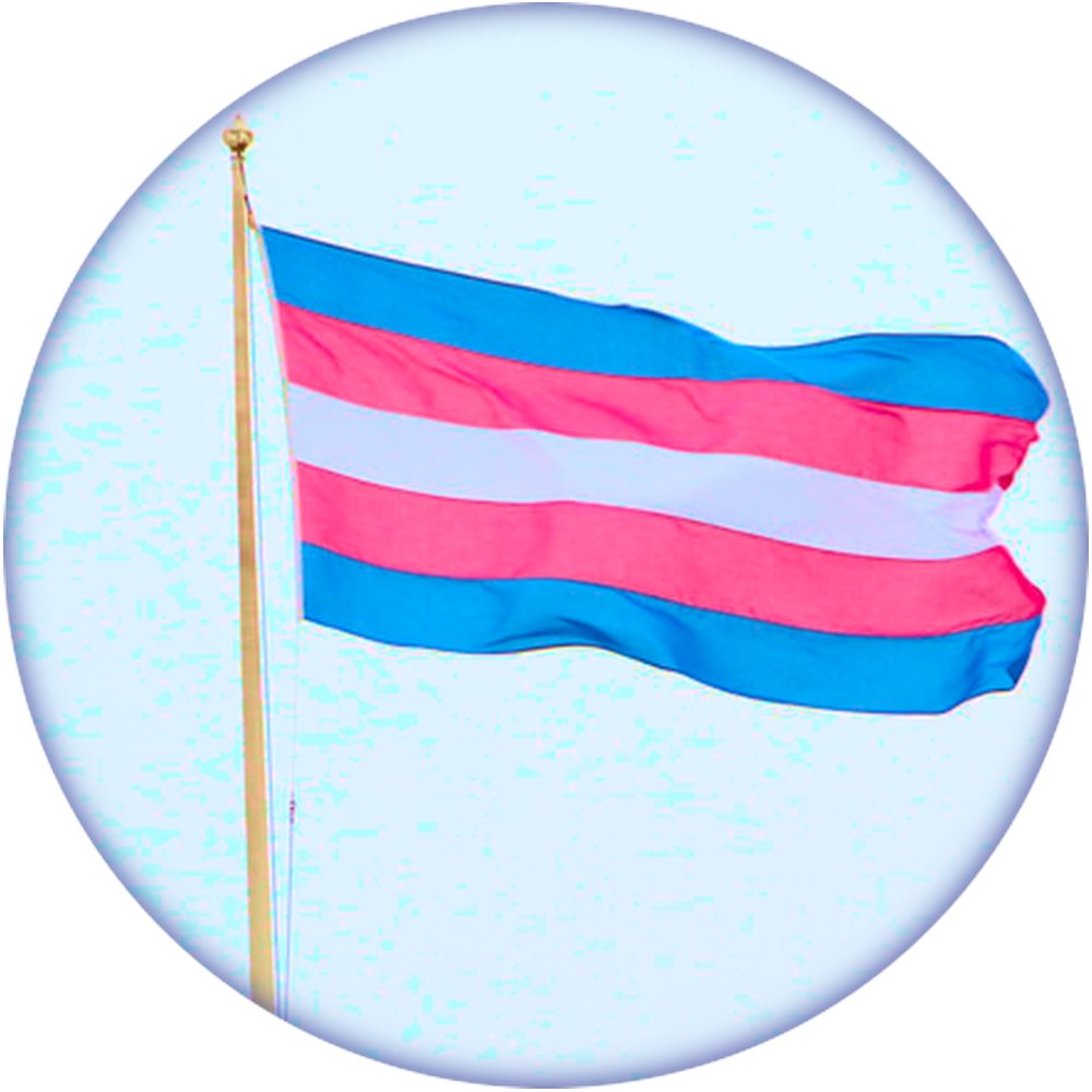 UCL participants wanted: Trans exhibition - lived experience

UCL's LGBTQ+ Equality Steering Group is putting together a small, informative exhibition on trans lives, to be displayed in different places around UCL, around Trans Day of Visibility (TDOV).

ucl.ac.uk/equality-diver…