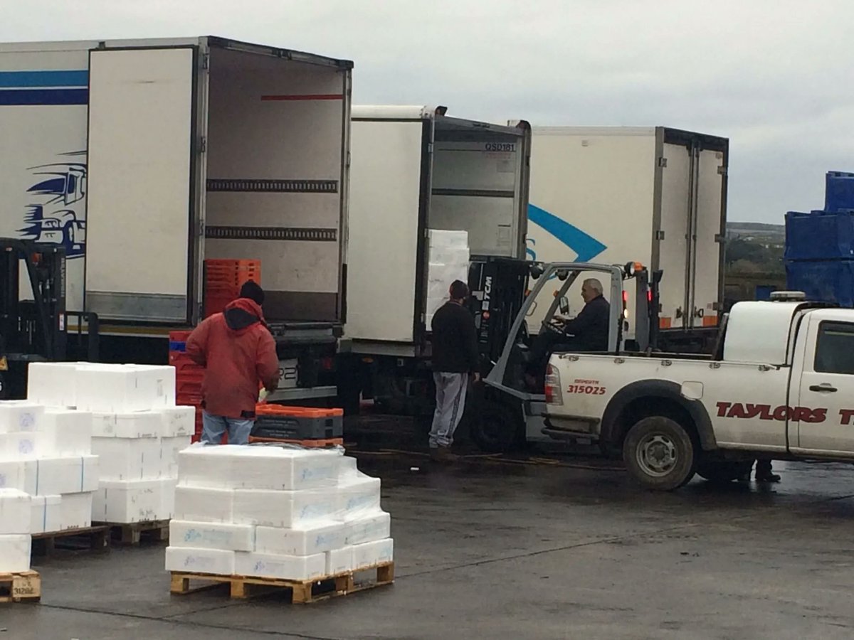 Seafood Cornwall (@cornwallseafood) on Twitter photo <a href="/NewlynFishing/">NewlynFishing</a> caught Cornwall’s famous <a href="/MSCintheUK/">MSC in the UK</a> Cornish hake in action as it was unloaded from ‘Stellissa’ in Newlyn. From here, the hake begins a swift journey along the seafood supply chain, first going through auctioneers, buyers & then to restaurants & fishmongers! 🍽 <a href="/NewlynFishing/">NewlynFishing</a> caught Cornwall’s famous <a href="/MSCintheUK/">MSC in the UK</a> Cornish hake in action as it was unloaded from ‘Stellissa’ in Newlyn. From here, the hake begins a swift journey along the seafood supply chain, first going through auctioneers, buyers & then to restaurants & fishmongers! 🍽