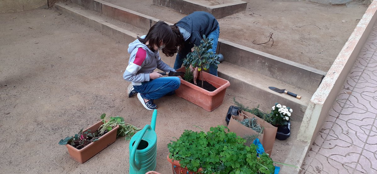 estelguinardo's tweet photo. Comencem a tenir a punt l'hort de l'escola i també comencem la plantació de gener a la jardineria de l'@estelguinardo https://t.co/DKjthcDOGE
