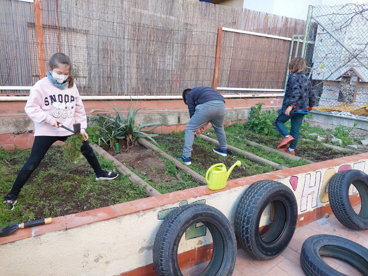 estelguinardo's tweet photo. Comencem a tenir a punt l'hort de l'escola i també comencem la plantació de gener a la jardineria de l'@estelguinardo https://t.co/DKjthcDOGE