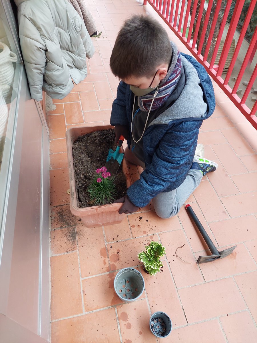 estelguinardo's tweet photo. Comencem a tenir a punt l'hort de l'escola i també comencem la plantació de gener a la jardineria de l'@estelguinardo https://t.co/DKjthcDOGE