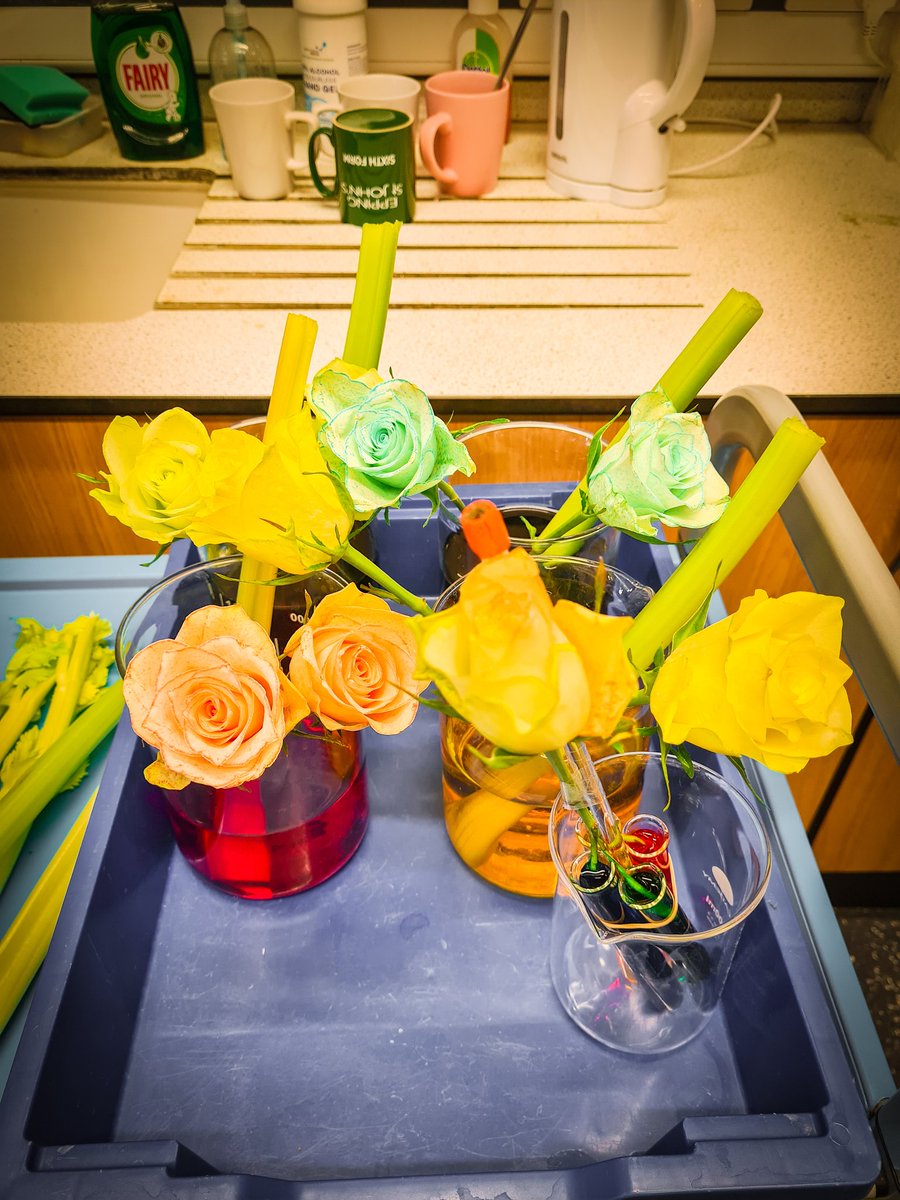 Mrs Ahmed tweet media