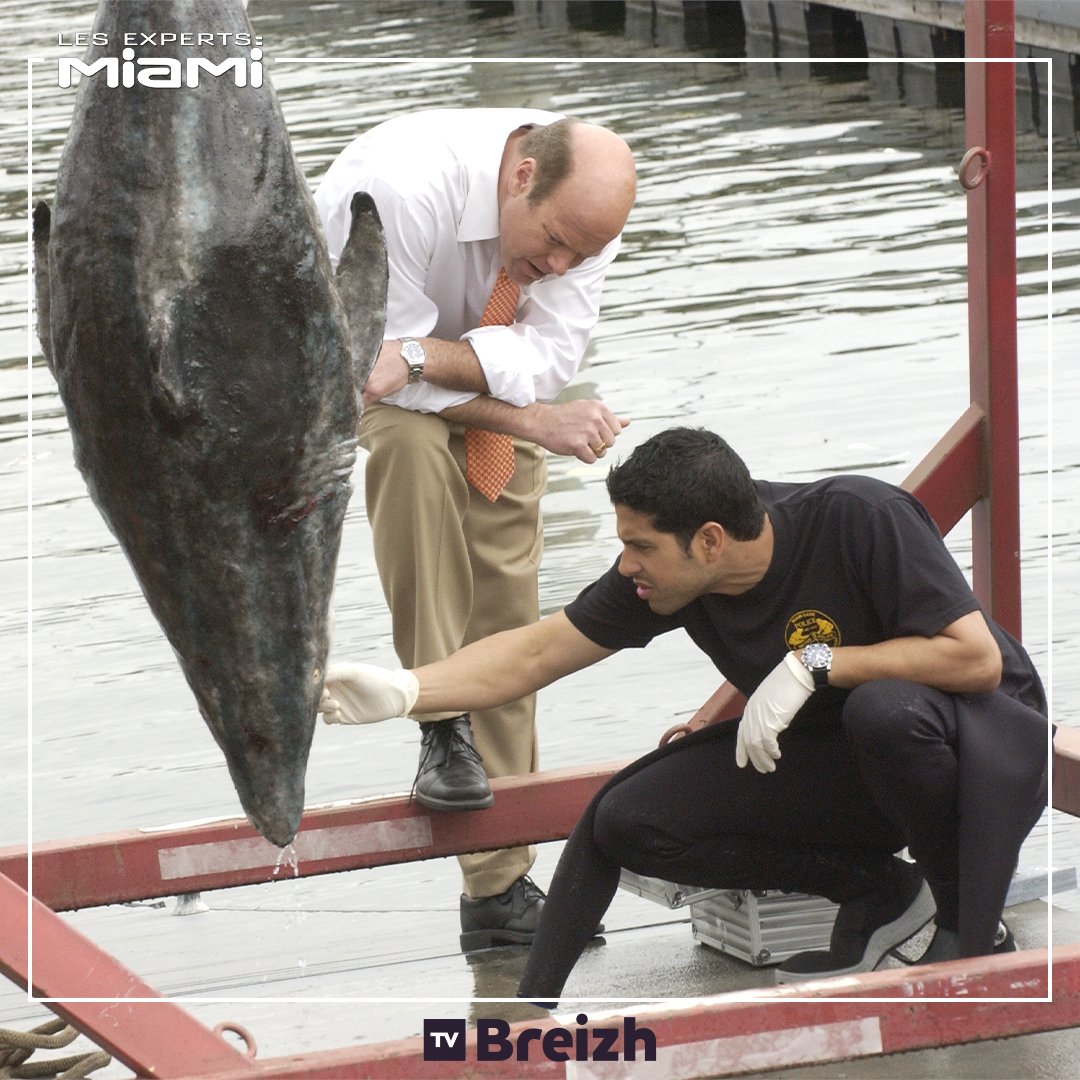 TVBreizh's tweet photo. Un bateau de croisière amarré est la scène d'un double homicide. L'équipe enquête sur la liste de suspects et découvre que l'argent pourrait être le mobile du crime...
📺 (Re)découvrez l'épisode "Mort en eaux troubles" des #ExpertsMiami ce soir à 20:50 https://t.co/LZk4i6grVJ