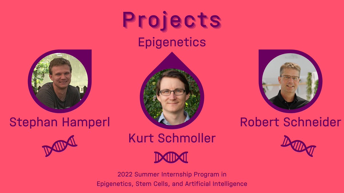Here's the last project announcement before the call for our Summer #Internship Program 2022 in #Epigenetics, #StemCells, and #ArtificialIntelligence opens on Monday!
3 projects aim to understand the role of Epigenetics for basic biological processes 🧬
➡️bit.ly/3pKj6e1