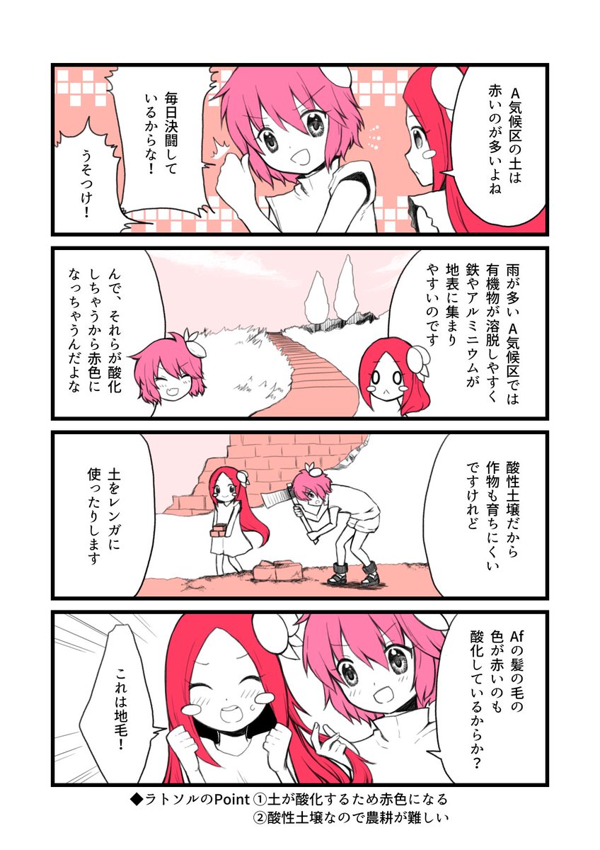 世界の土壌①】 ・ラトソル 色…赤 分布…赤道直下 肥沃…× 特性….. | 地理おた部 ～高校地理お助け部～ さんのマンガ | ツイコミ(仮)