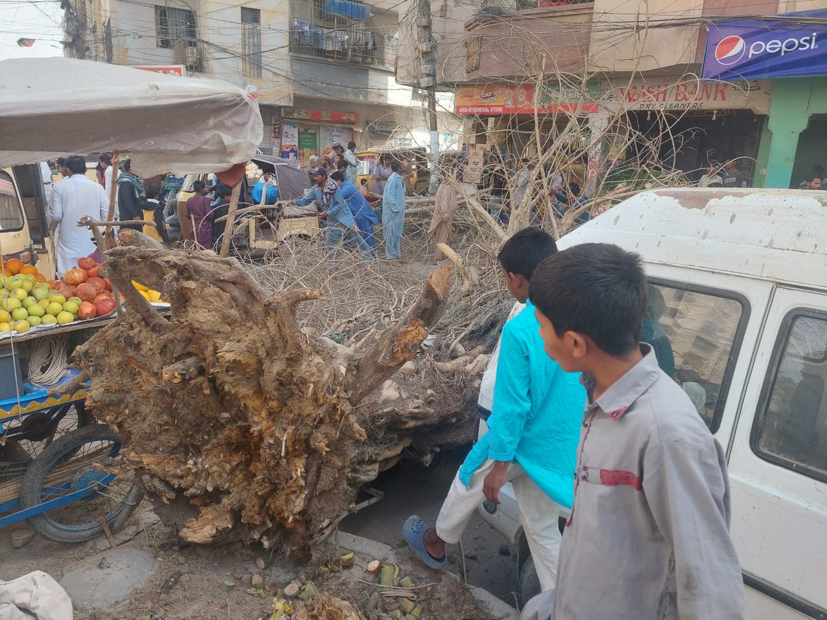 Khi_Alerts's tweet photo. کراچی کے علاقے گلشن اقبال میں  تیز گرد آلود ہواؤں کے باعث درخت گر گیا۔ https://t.co/uVBuV73RbU