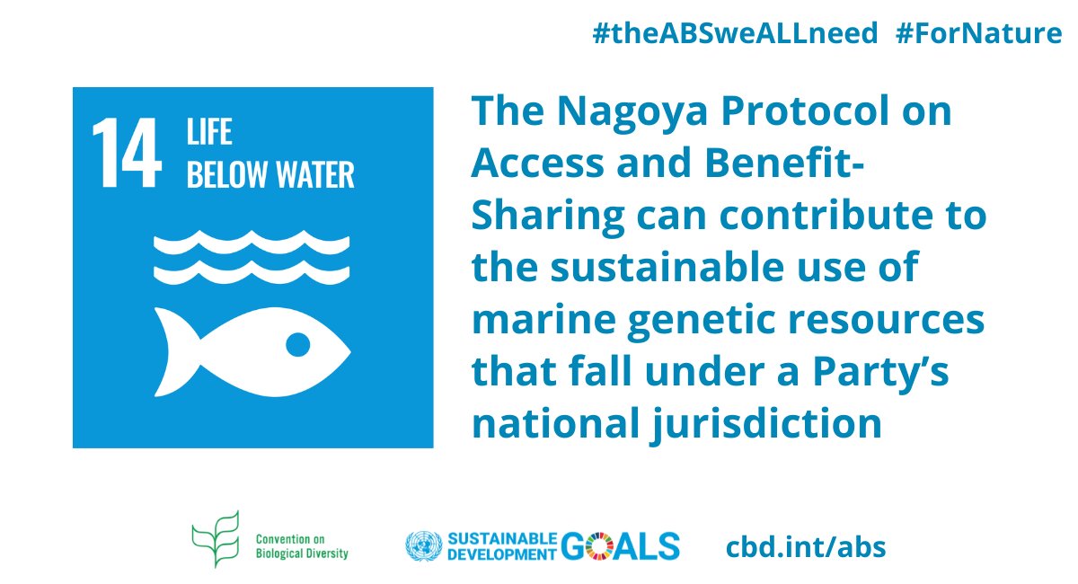 #AccessAndBenefitSharing can help protect and recognize the contribution of #MarineGeneticResources to research and development for the #GlobalGoals.
Learn more here: absch.cbd.int/api/v2013/docu…

@UNBiodiversity #theABSweALLneed #ForNature