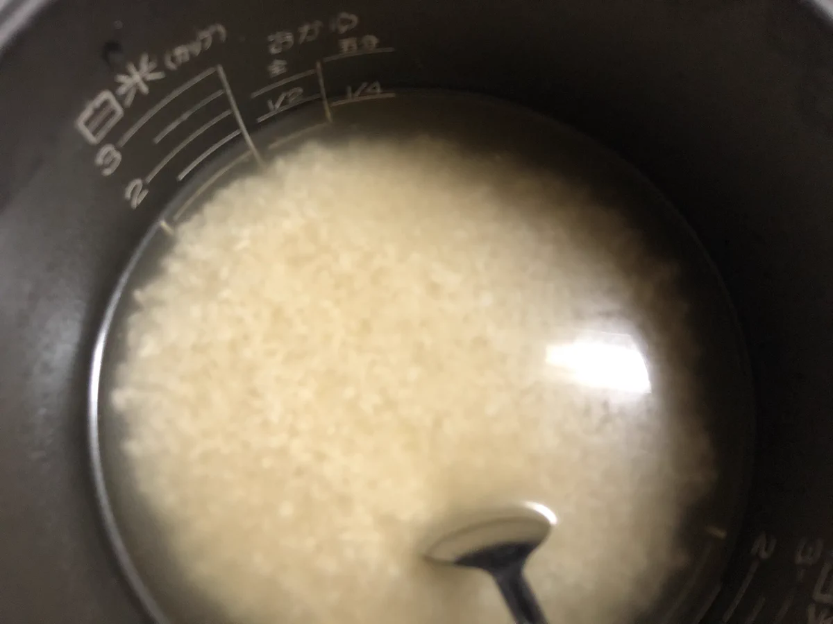 一度試してみる価値あり！炊飯器で簡単「新たまねぎご飯」