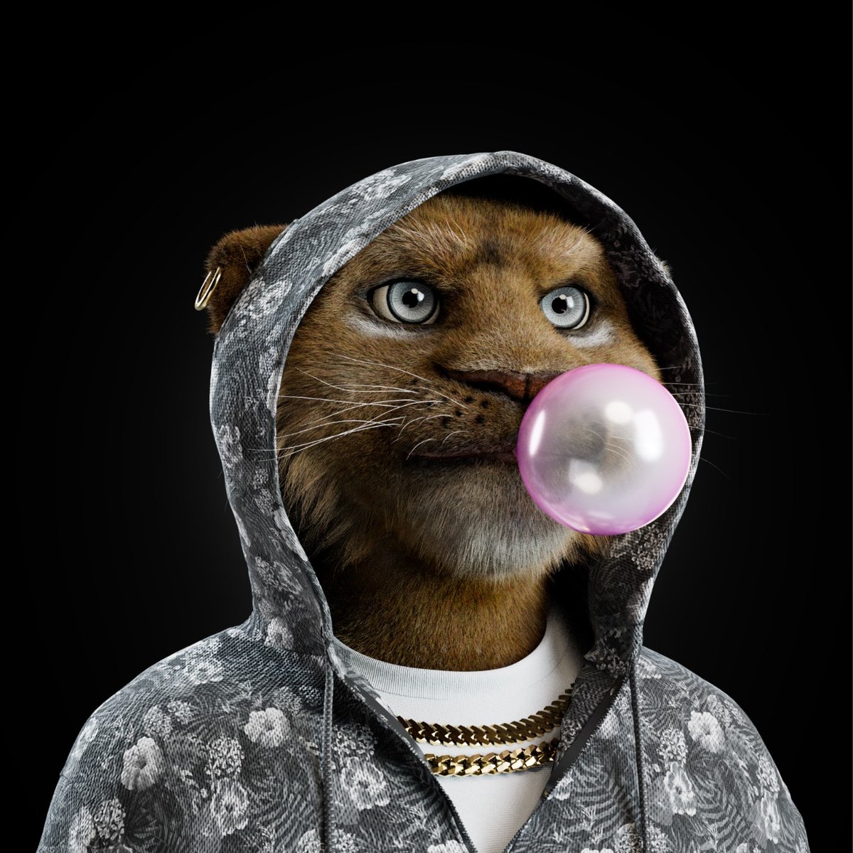 Aljo29765678's tweet photo. Love the styling
@bigcats_nft https://t.co/PvyHYL1Xql