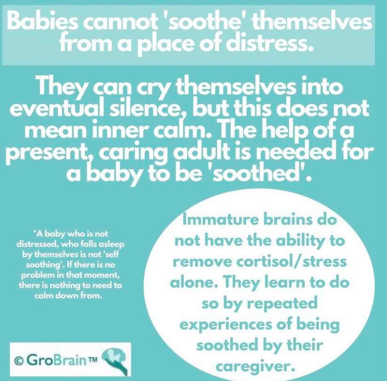 Immature brains don't have the ability to remove cortisol alone. They learn to do so by *repeated* experiences of being soothed by a caregiver.

Toddlers require help when distressed in order to 'soothe' internally. So will children. So will teens. So will adults.