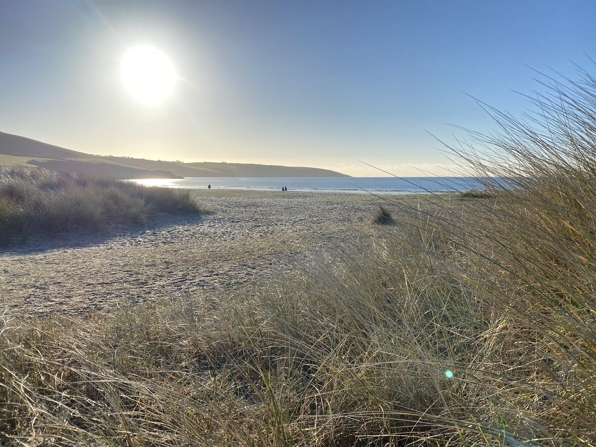 _LauraLarkin's tweet photo. A much needed frosty morning wander #ParBeach https://t.co/sRO4yn8rZz