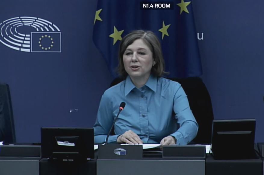 VeraJourova's tweet photo. The Conference on the #FutureOfEurope is in full swing. Chairing the Working group on Values and Rights. 

Great to hear your views, your demands on the 🇪🇺 and suggestions. Also, I hear a lot that you are not willing to compromise on democracy and values the EU stands for. #CoFoE https://t.co/BMwWZHJyw1