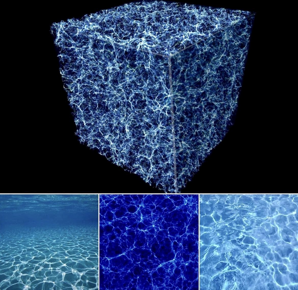 AriadnaItzamar's tweet image. The structure of the universe
(the Cosmic Web) compared with the patterns formed by light refracted in water.

💠 Image by Mohamed Vercammen

#fractalscience