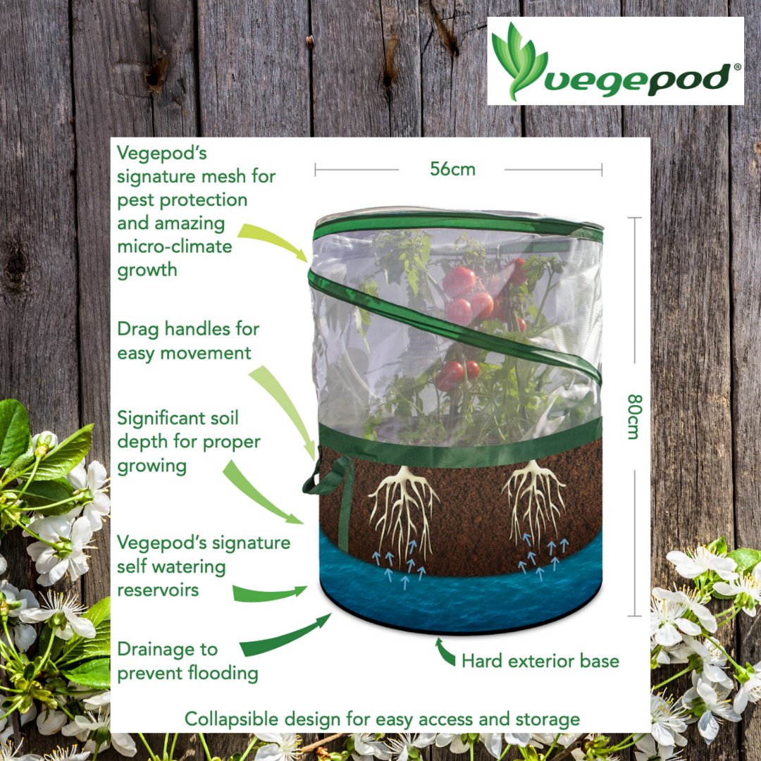 GYOmag's tweet photo. New #SowforSpring Instagram giveaway!

Check out our latest Instagram post for the chance to win a Vegebag from Vegepod! 🌿

👇

https://t.co/KziSXO4FCv

#growyourown #giveaway #win #competition #prizes #spring https://t.co/v6mpJRerQX