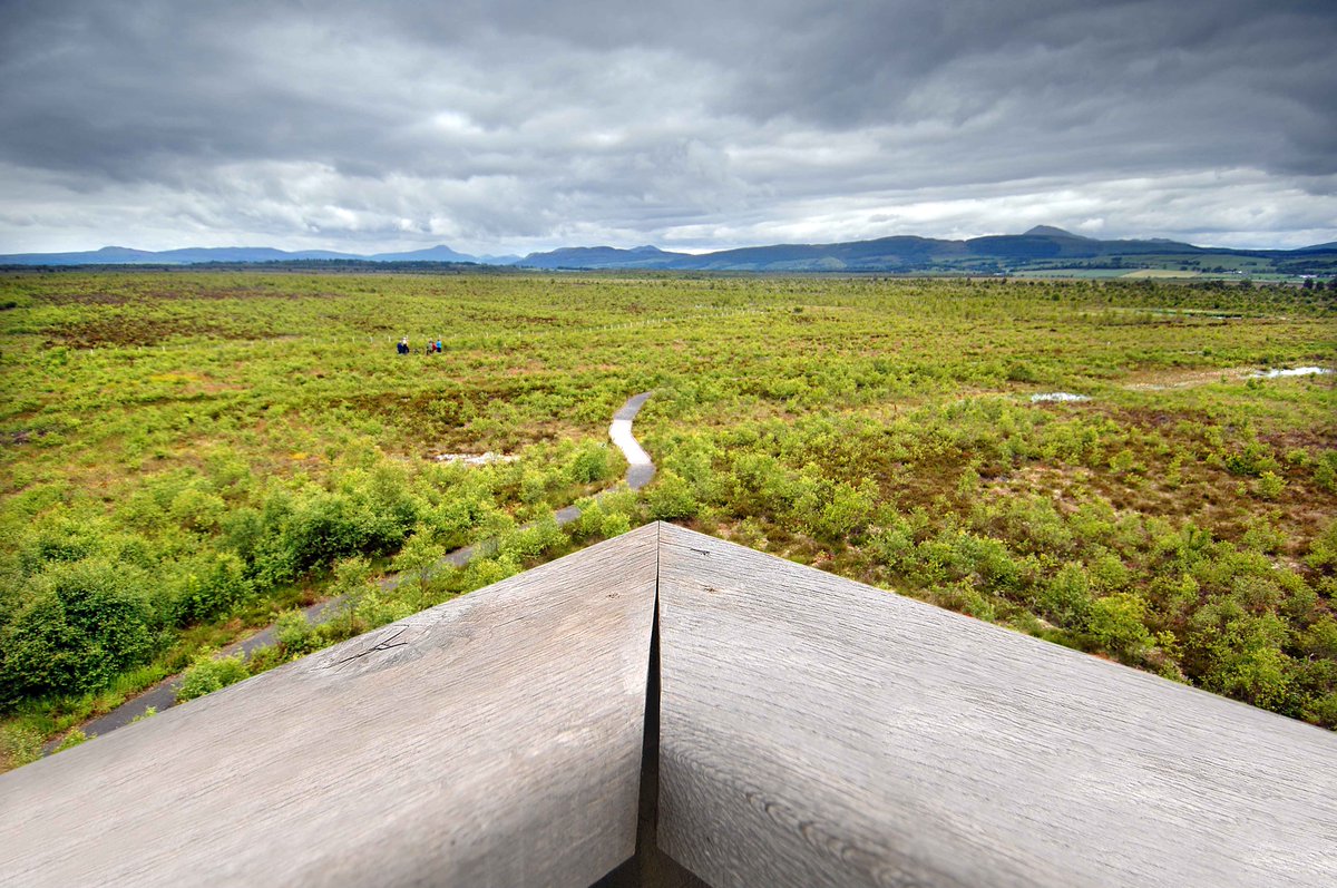 NatureScot's tweet photo. Are you an experienced media professional  with a passion to communicate crucial work for nature in Scotland? We may be looking for you! More details for this temporary position at https://t.co/E2w10mzgg1 https://t.co/qivjr8hDoi