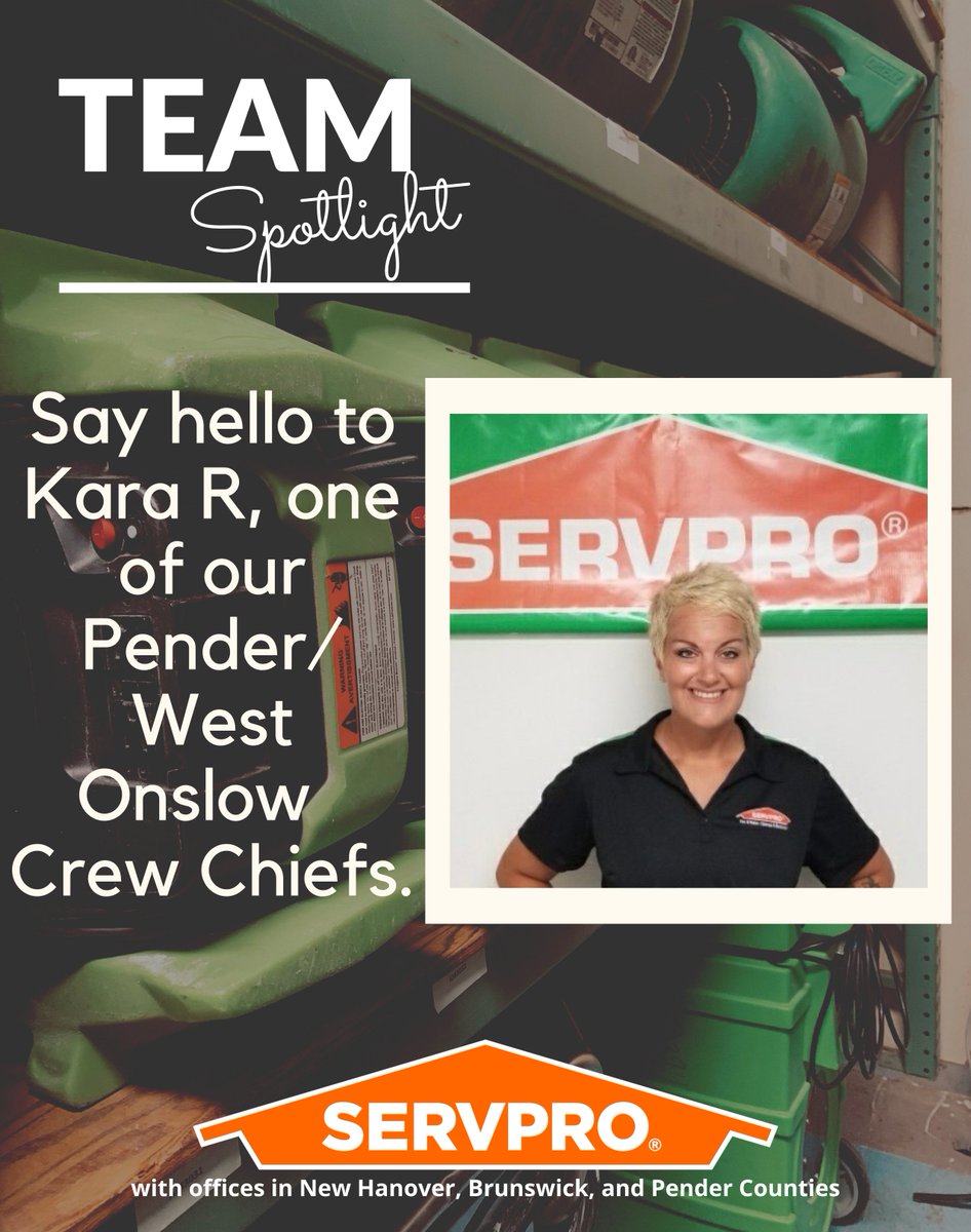 TEAM Spotlight!