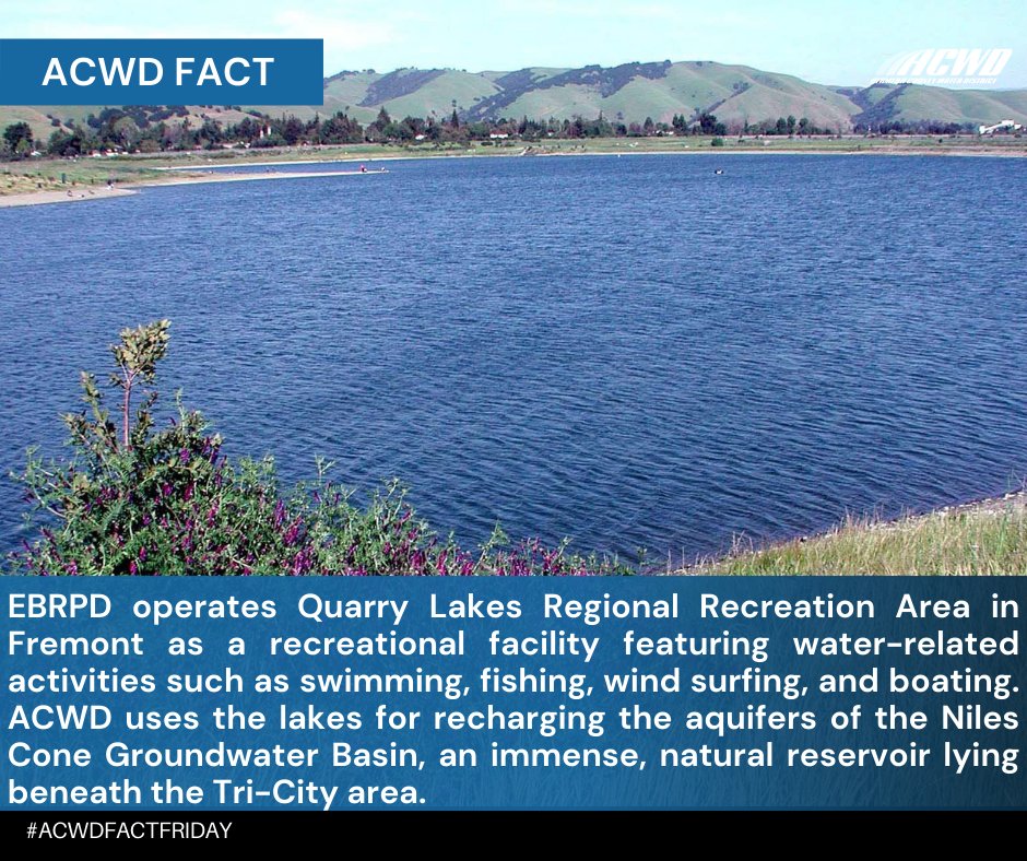 AlamedaCountyWD's tweet photo. Quarry Lakes Regional Recreation Area in Fremont is jointly administered by the East Bay Regional Park District (EBRPD) and the Alameda County Water District. @EBRPD #EBRPD #QuarryLakes #ACWD #alamedacountywaterdistrict #waterconservation #tricities #fremont #unioncity #newark https://t.co/OOGwjw6A4x
