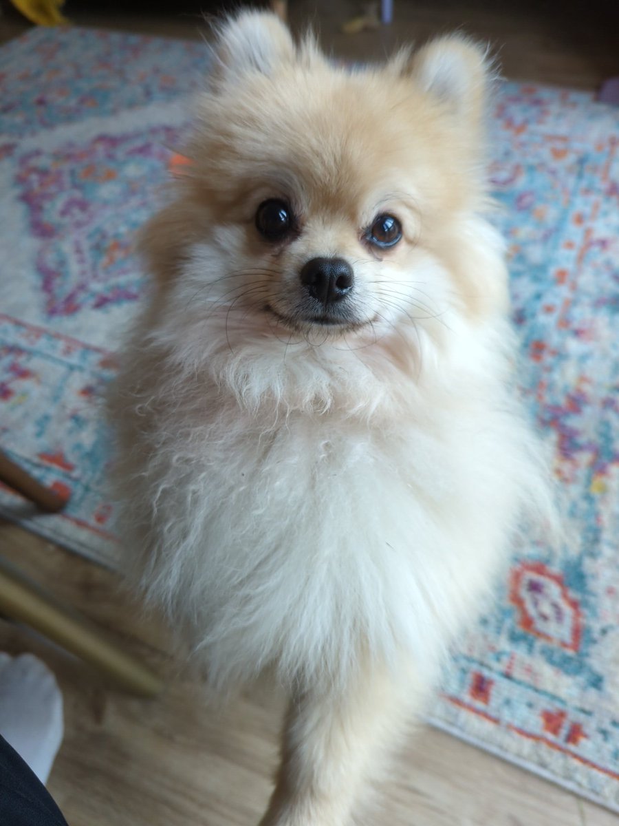 Ed Holloway-George 🍝 tweet media