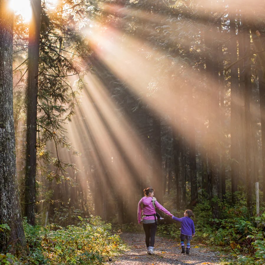 Did you know… The National Diet and Nutrition Survey shows that about 1 in 6 adults in the UK have low levels of vitamin D in their blood