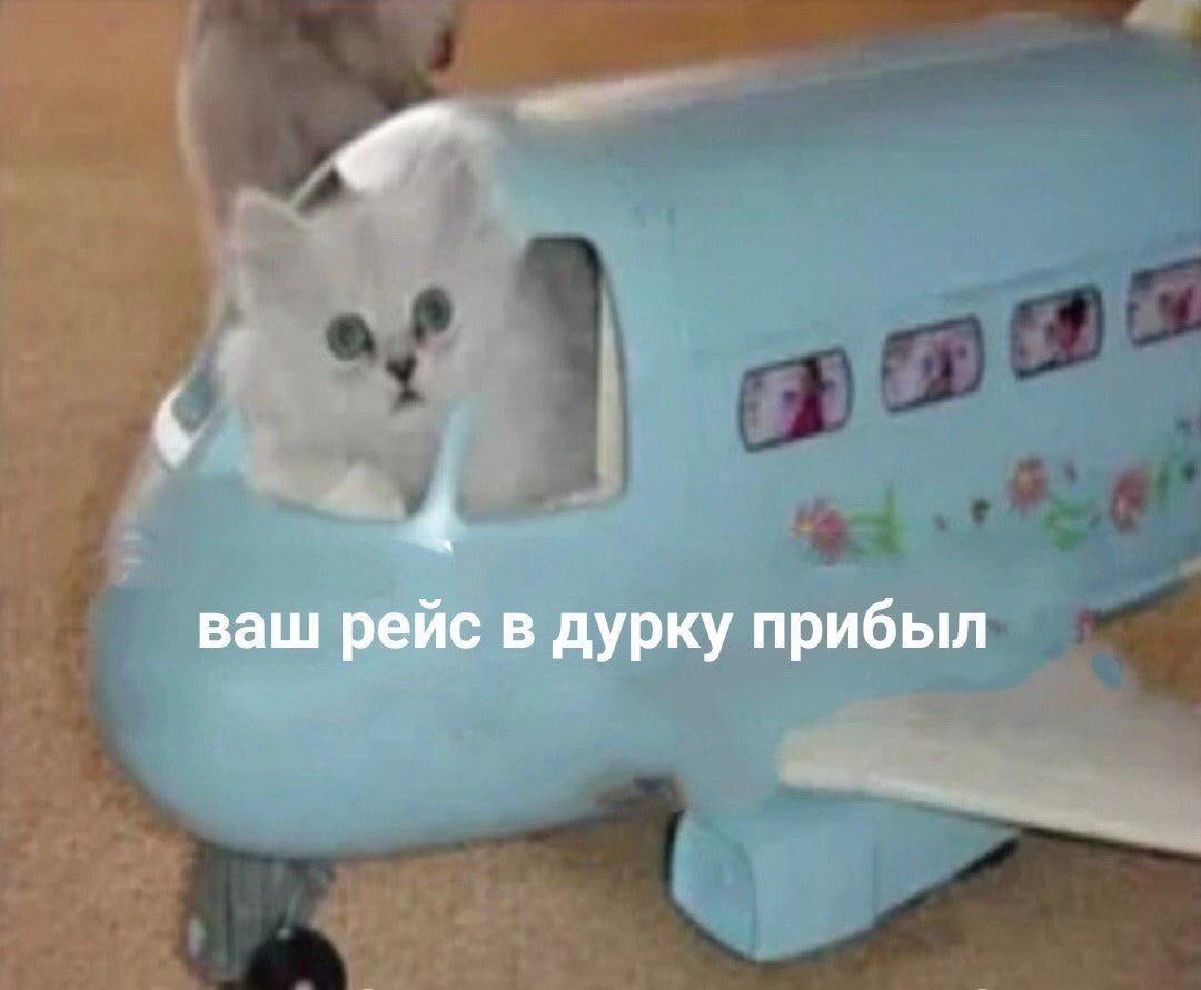 RussianMemesLtd's tweet photo. your flight to the madhouse has arrived https://t.co/vnNTtuDcNe