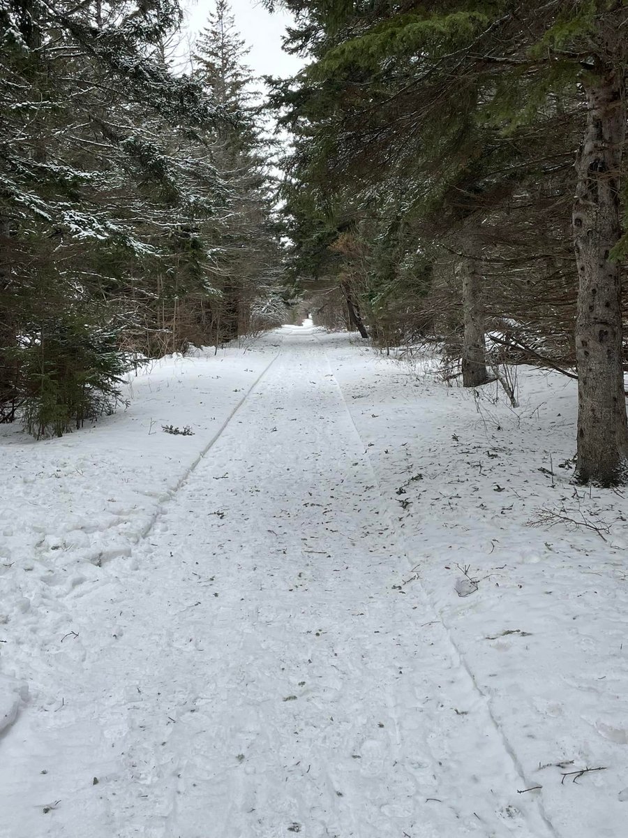 Winter Trail Update ❄️

Groomer has been out on the Homestead Trail and Cavendish Grove Trails. The Winter Activity Hub at Cavendish Campground, <a href="/PEINationalPark/">PEI NP</a> will be open this weekend Saturday &amp; Sunday, 10am-4pm. Fatbike and snowshoe equipment rentals available this weekend.