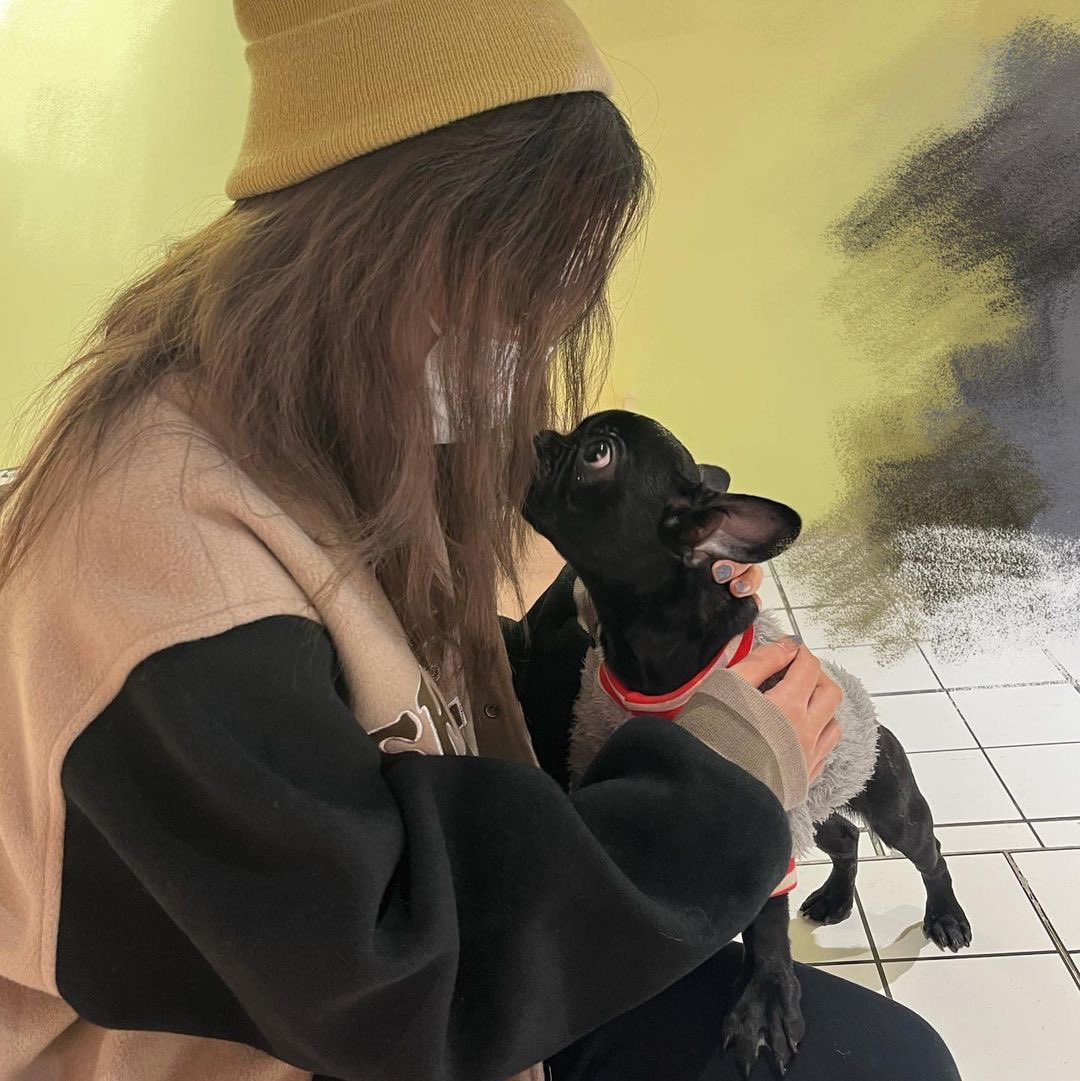 220122 인스타그램 

狗狗🐶～～

#苏芮琪 #수루이치 #Suruiqi #소예기 #スールイチー