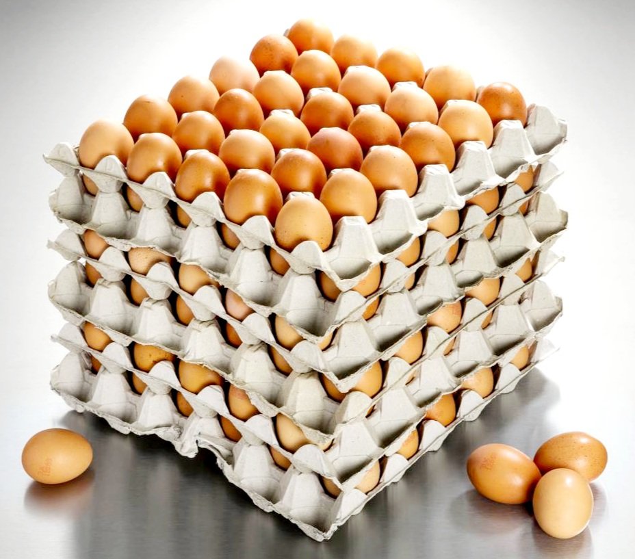 agro_agency's tweet photo. #FromLandtoNation 
#GoldenFresh 

Did you know???

A tray of 30 medium eggs costs you N$ 68.00 only. Why spend more when you can get them at a much more lower price while supporting your farmers.  Less prices for the LOCALS. 

Visit AMTA Whk Hub, we are open tomorrow from 08h00. https://t.co/ttGTaqUDyT