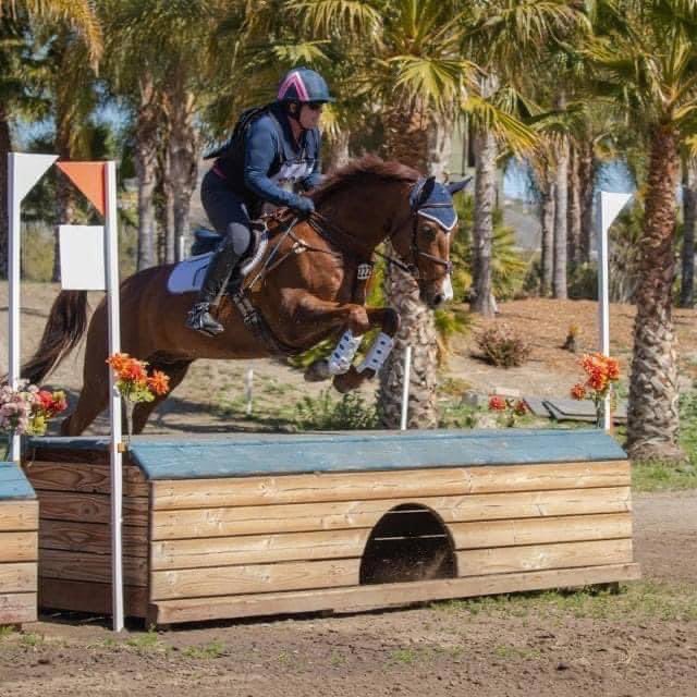 Black Star bred horses is doing great things in the #eventing world! We are so proud of Shirley McCune and this young horse by Cavallo Star!