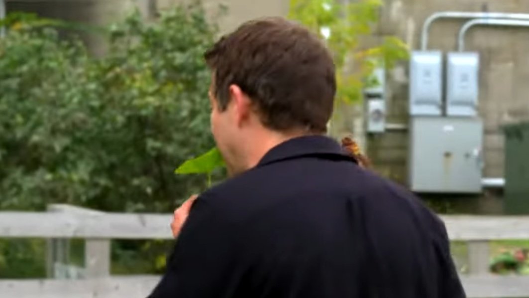 CasIsLoved's tweet image. Misha Collins shoving stuff into his mouth