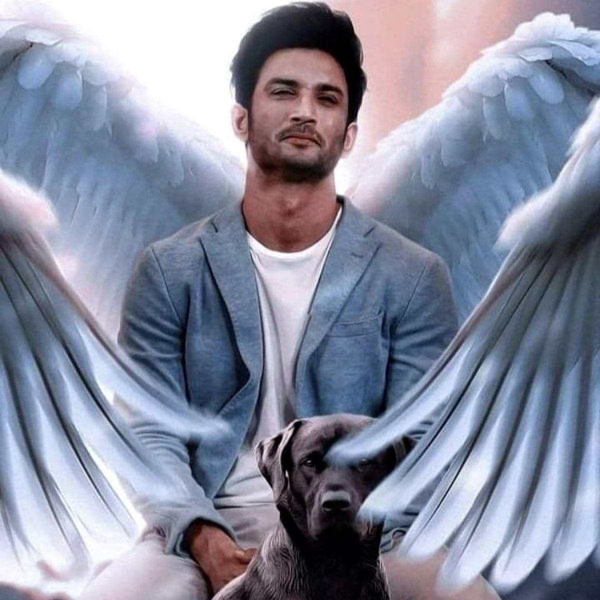 zumamallik's tweet photo. #SushantDay 

@uvmallik @aurosree @SwastiSinha73 @Judhajit4Photon @republic @mamta_kale @PMOIndia @HMonHBO https://t.co/UFfwoXS7Ag